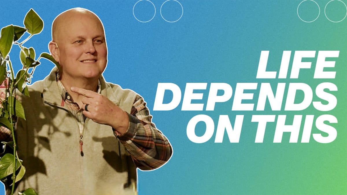 Life Depends on This | Rock Bridge Live
